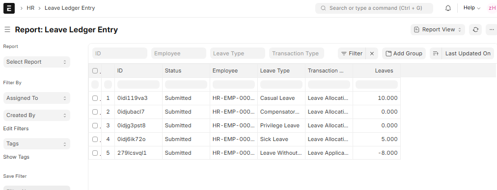 Leave Ledger Entry
